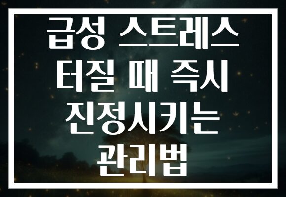 급성 스트레스 터질 때 즉시 진정시키는 관리법