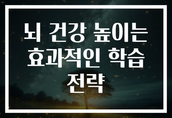 뇌 건강 높이는 효과적인 학습 전략
