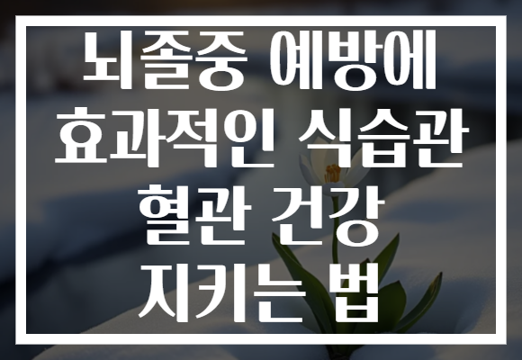 뇌졸중 예방에 효과적인 식습관 혈관 건강 지키는 법