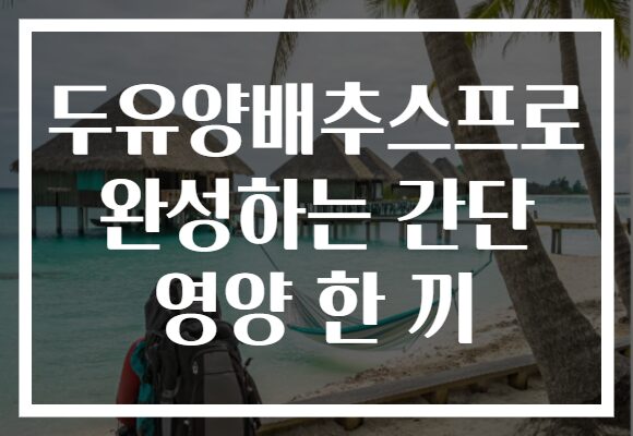 두유양배추스프로 완성하는 간단 영양 한 끼