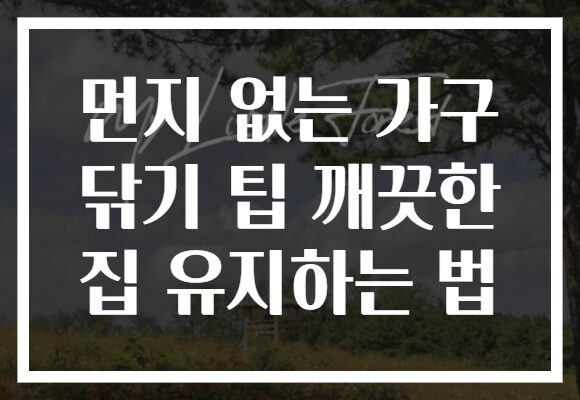 먼지 없는 가구 닦기 팁 깨끗한 집 유지하는 법