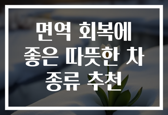 면역 회복에 좋은 따뜻한 차 종류 추천