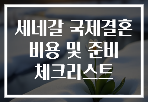 세네갈 국제결혼 비용 및 준비 체크리스트