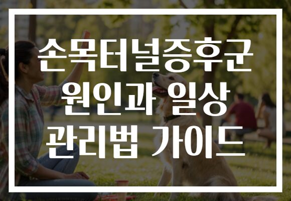 손목터널증후군 원인과 일상 관리법 가이드