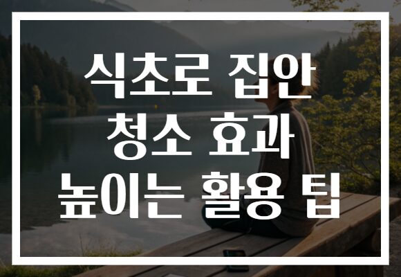 식초로 집안 청소 효과 높이는 활용 팁