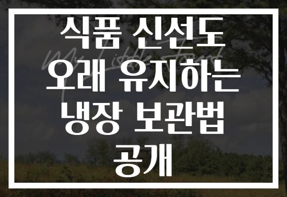 식품 신선도 오래 유지하는 냉장 보관법 공개