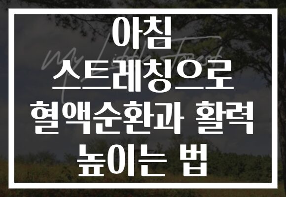 아침 스트레칭으로 혈액순환과 활력 높이는 법