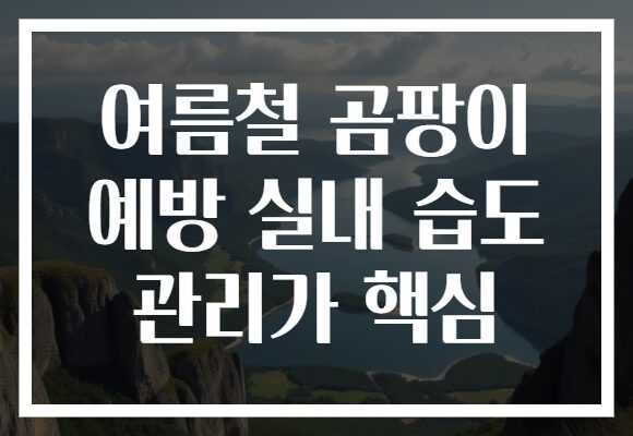 여름철 곰팡이 예방 실내 습도 관리가 핵심