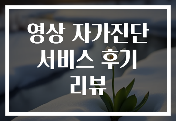 영상 자가진단 서비스 후기 리뷰