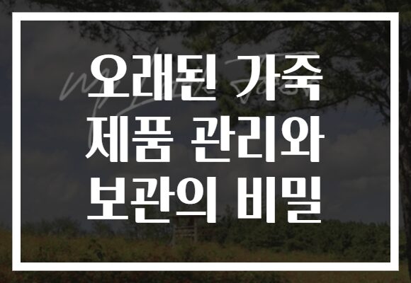 오래된 가죽 제품 관리와 보관의 비밀