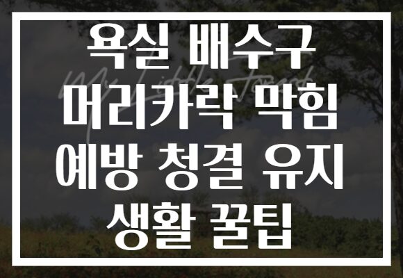 욕실 배수구 머리카락 막힘 예방 청결 유지 생활 꿀팁