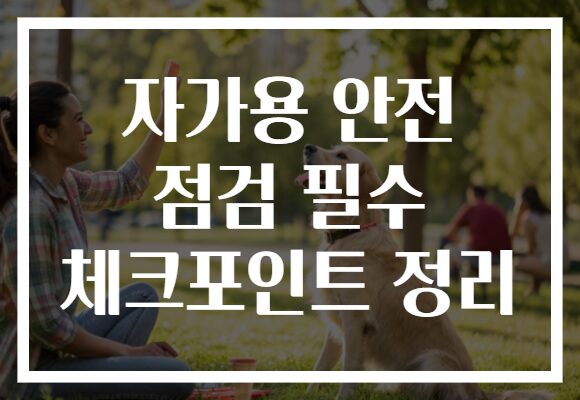 자가용 안전 점검 필수 체크포인트 정리