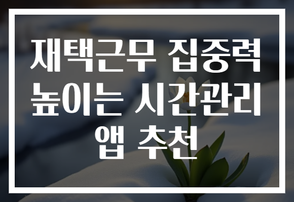 재택근무 집중력 높이는 시간관리 앱 추천