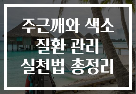 주근깨와 색소 질환 관리 실천법 총정리