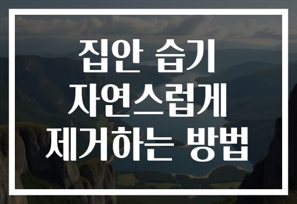 집안 습기 자연스럽게 제거하는 방법