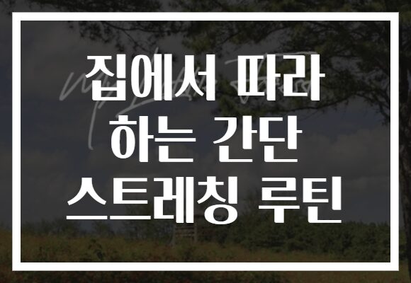 집에서 따라 하는 간단 스트레칭 루틴