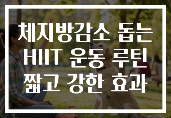 체지방감소 돕는 HIIT 운동 루틴 짧고 강한 효과