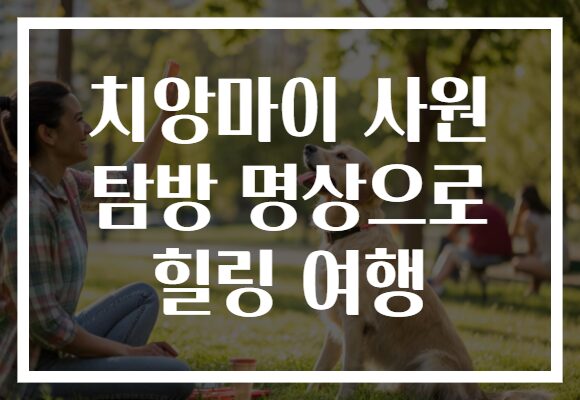 치앙마이 사원 탐방 명상으로 힐링 여행