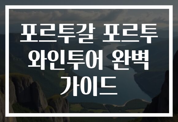 포르투갈 포르투 와인투어 완벽 가이드