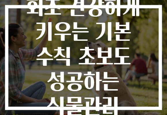 화초 건강하게 키우는 기본 수칙 초보도 성공하는 식물관리