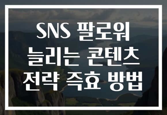 SNS 팔로워 늘리는 콘텐츠 전략 즉효 방법