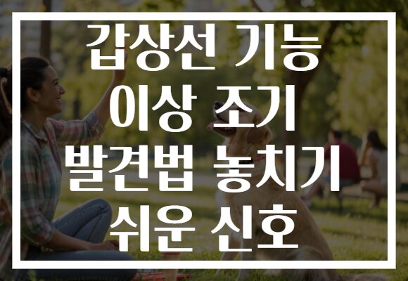 갑상선 기능 이상 조기 발견법 놓치기 쉬운 신호
