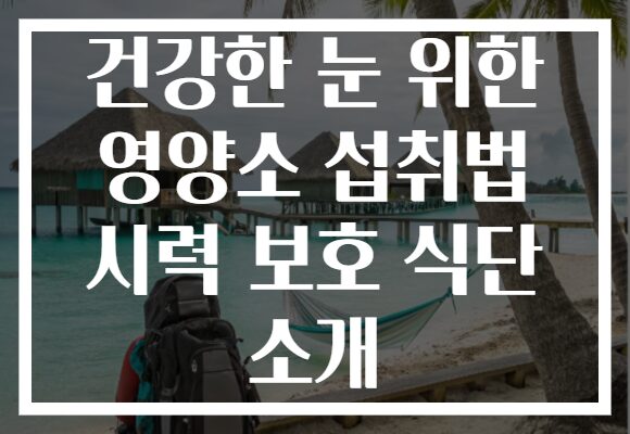 건강한 눈 위한 영양소 섭취법 시력 보호 식단 소개