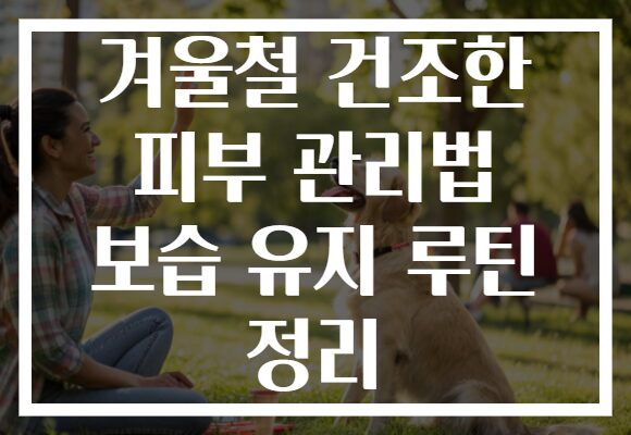 겨울철 건조한 피부 관리법 보습 유지 루틴 정리