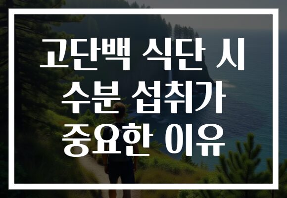 고단백 식단 시 수분 섭취가 중요한 이유