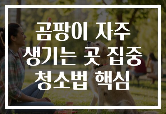 곰팡이 자주 생기는 곳 집중 청소법 핵심
