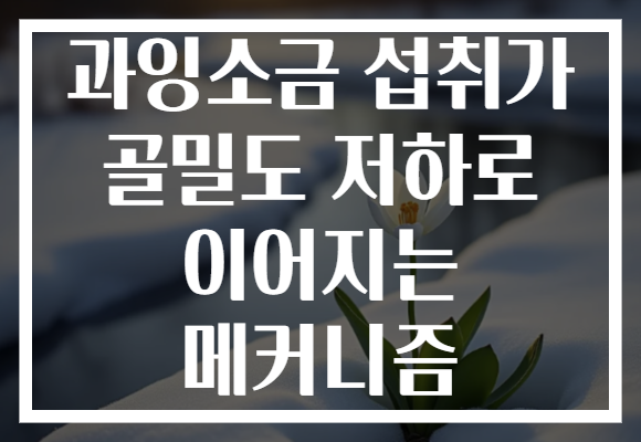 과잉소금 섭취가 골밀도 저하로 이어지는 메커니즘