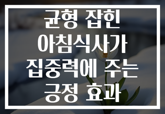 균형 잡힌 아침식사가 집중력에 주는 긍정 효과