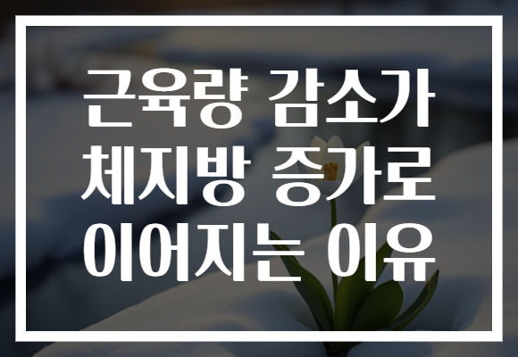 근육량 감소가 체지방 증가로 이어지는 이유