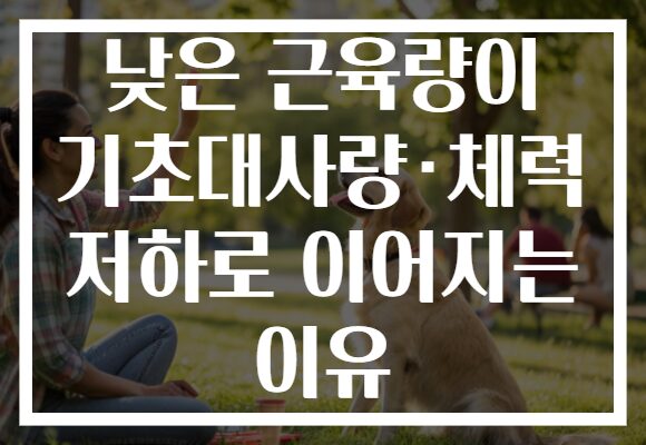 낮은 근육량이 기초대사량·체력 저하로 이어지는 이유