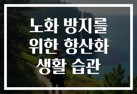 노화 방지를 위한 항산화 생활 습관