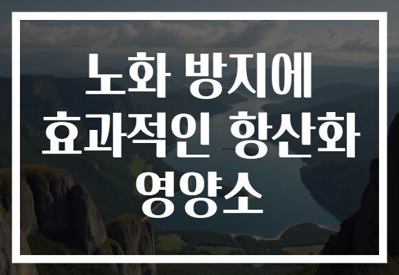 노화 방지에 효과적인 항산화 영양소