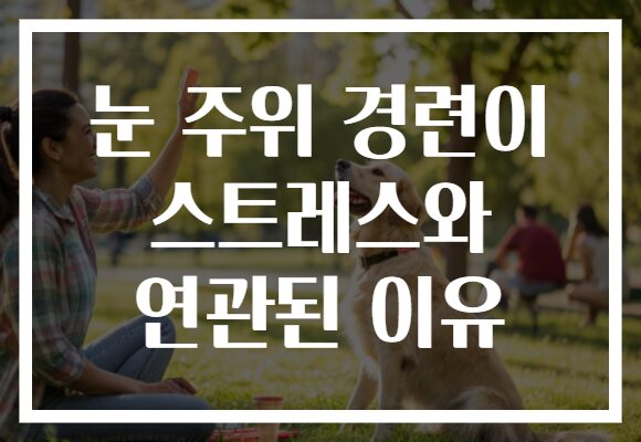 눈 주위 경련이 스트레스와 연관된 이유