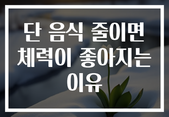 단 음식 줄이면 체력이 좋아지는 이유