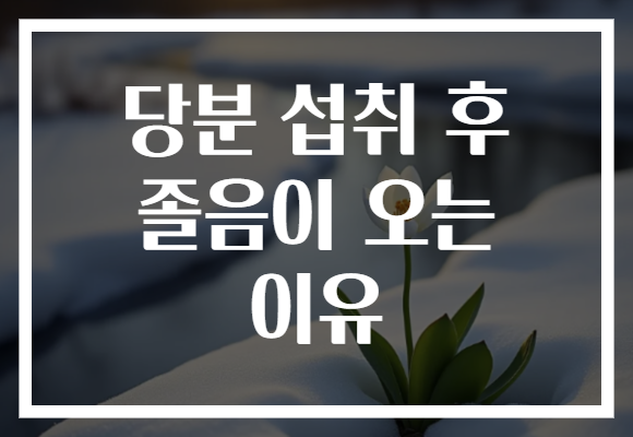 당분 섭취 후 졸음이 오는 이유