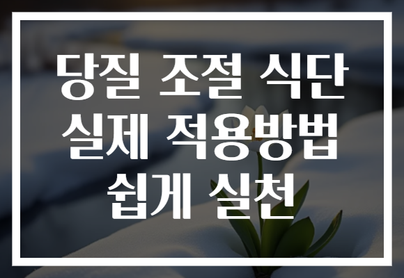 당질 조절 식단 실제 적용방법 쉽게 실천