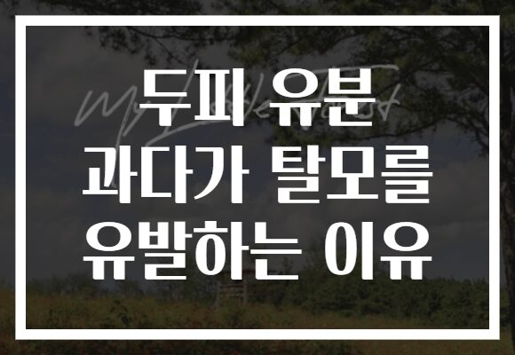 두피 유분 과다가 탈모를 유발하는 이유