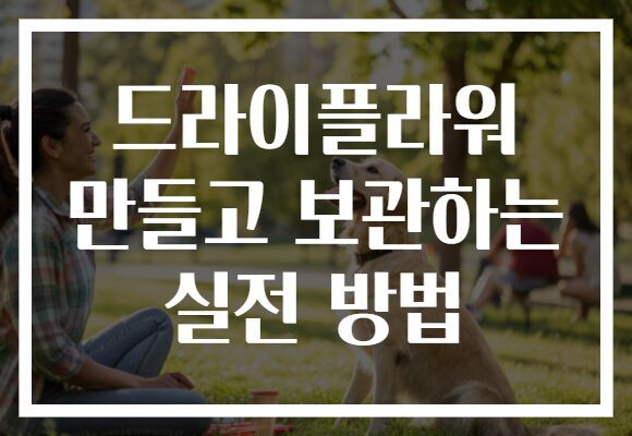 드라이플라워 만들고 보관하는 실전 방법