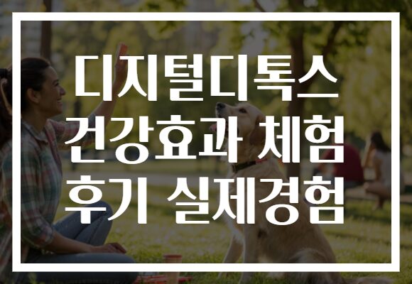 디지털디톡스 건강효과 체험 후기 실제경험