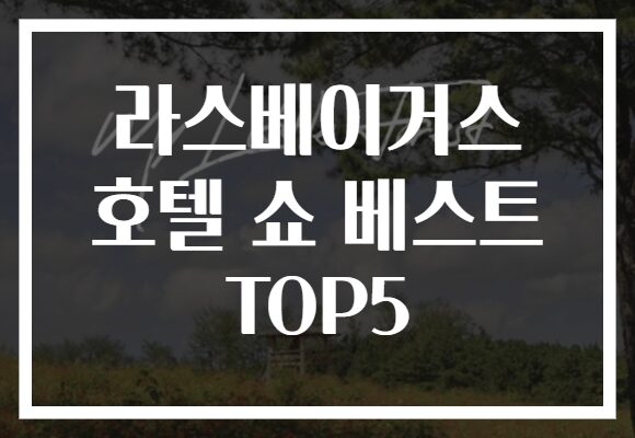 라스베이거스 호텔 쇼 베스트 TOP5