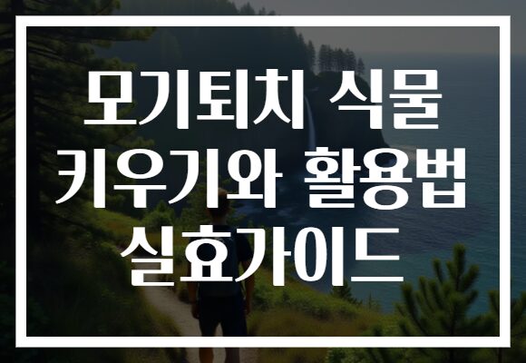 모기퇴치 식물 키우기와 활용법 실효가이드