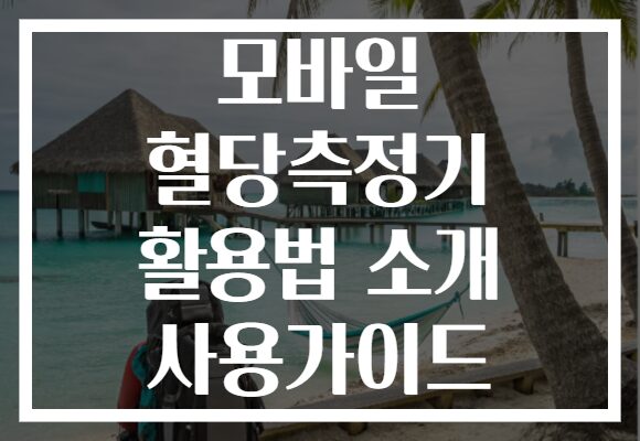 모바일 혈당측정기 활용법 소개 사용가이드