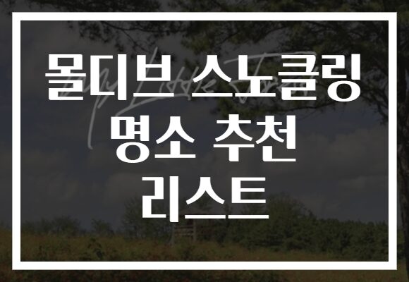 몰디브 스노클링 명소 추천 리스트