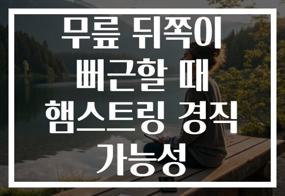 무릎 뒤쪽이 뻐근할 때 햄스트링 경직 가능성
