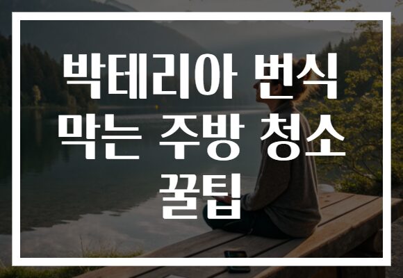 박테리아 번식 막는 주방 청소 꿀팁