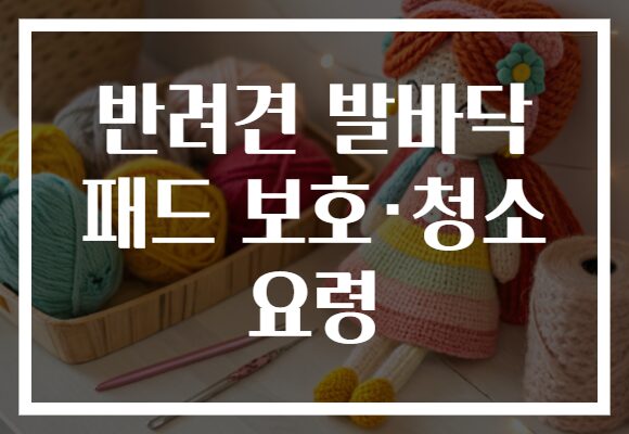 반려견 발바닥 패드 보호·청소 요령